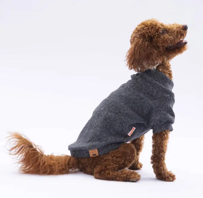 Pawstar Siyah Merino Sweat 2XL