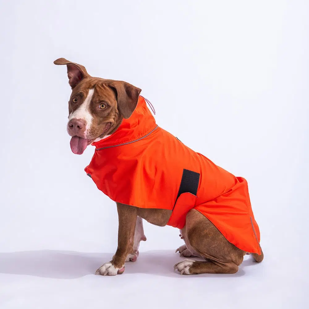Pawstar Turuncu Colombia Büyük Irk Köpek Yağmurluğu M 23530