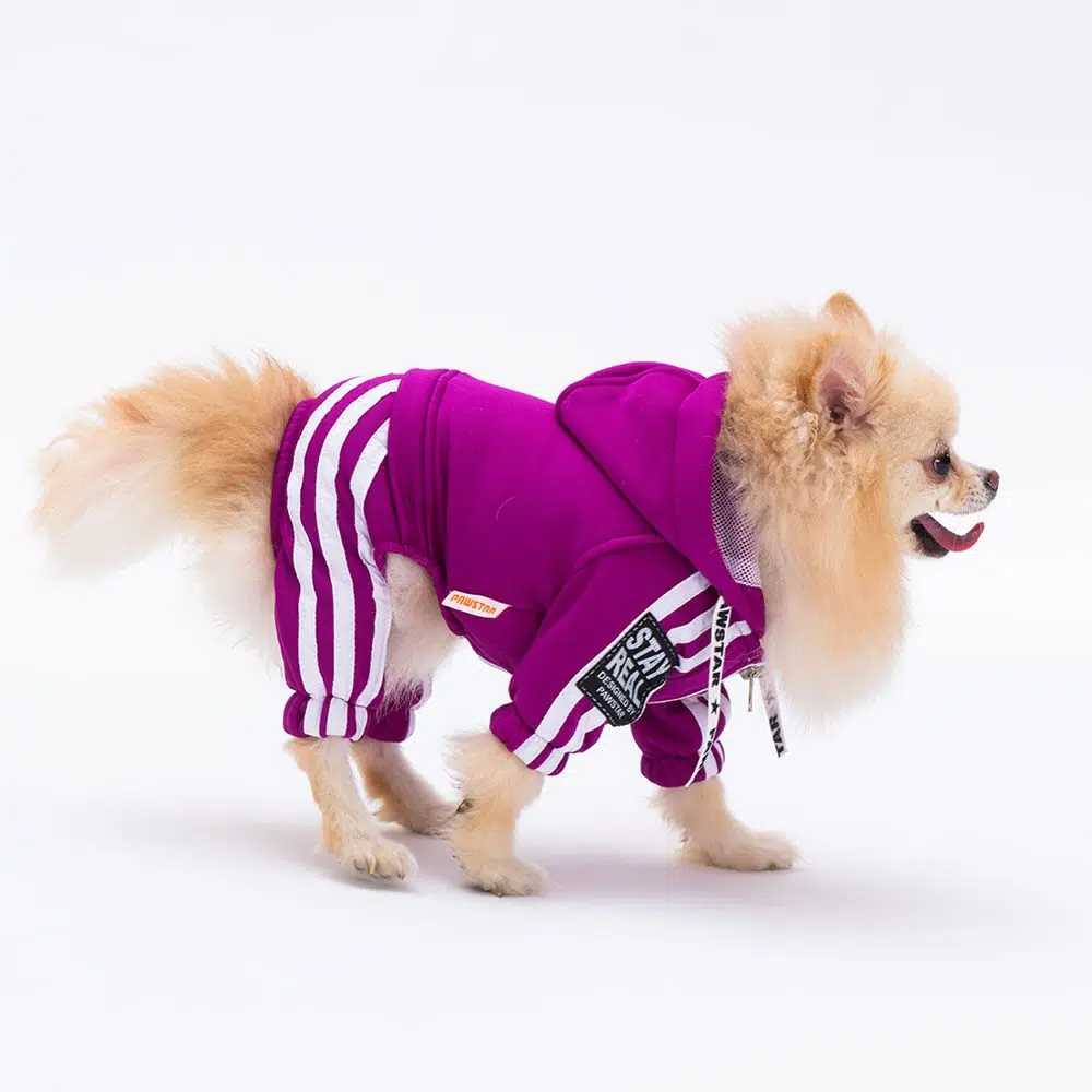 Pawstar Tuta Mor Kapşonlu Köpek Tulumu 2XL 23915