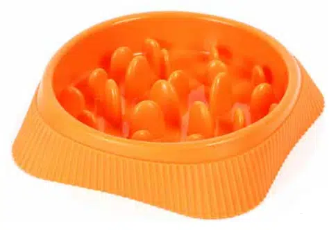 Petvoda Yavaş Mama Yeme Kabı