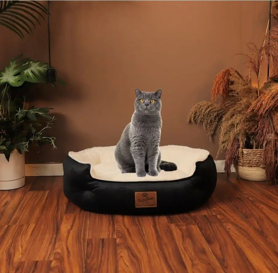 Puffy Paws Chester Peluş Kedi Köpek Yatağı M 57*53