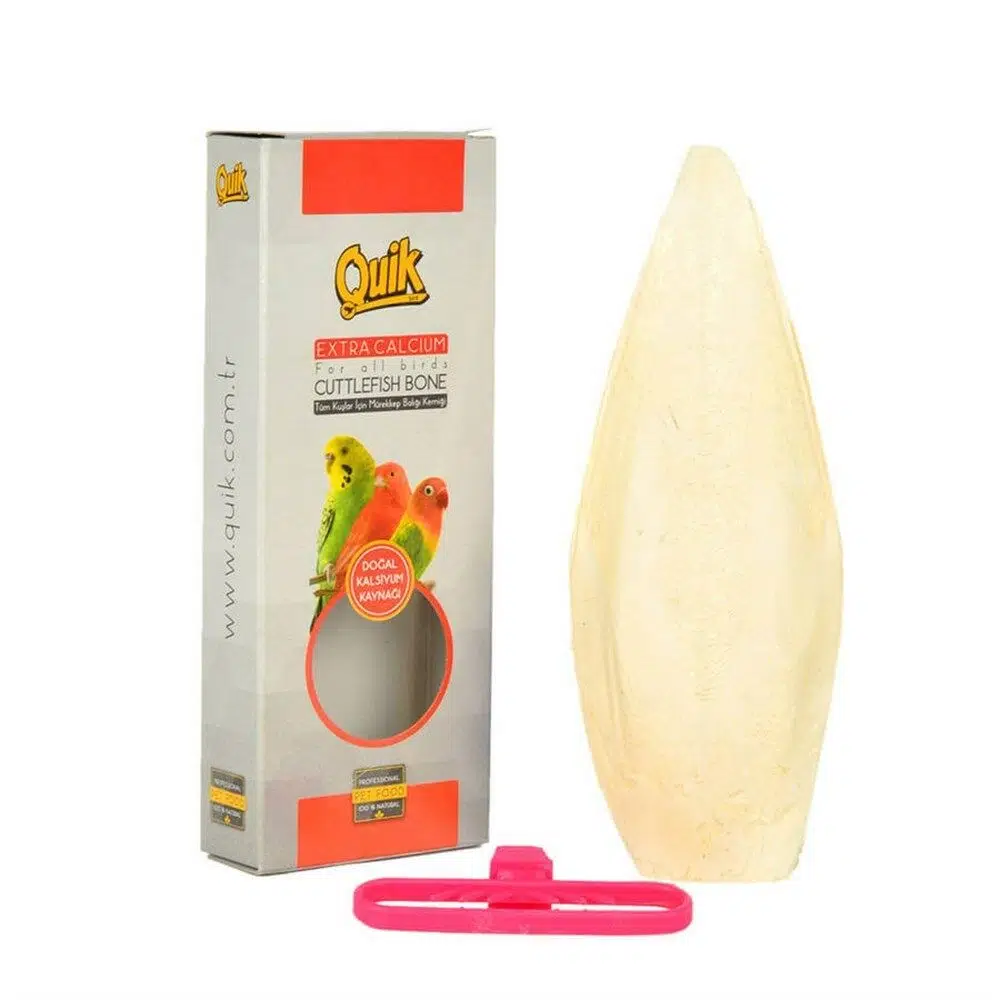 Quik Kalamar Kemiği Orta Boy QUİK-054