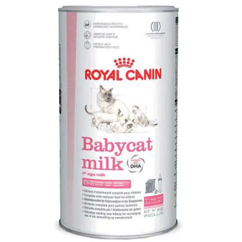 Royal Canin Kedi Süt Tozu 300gr