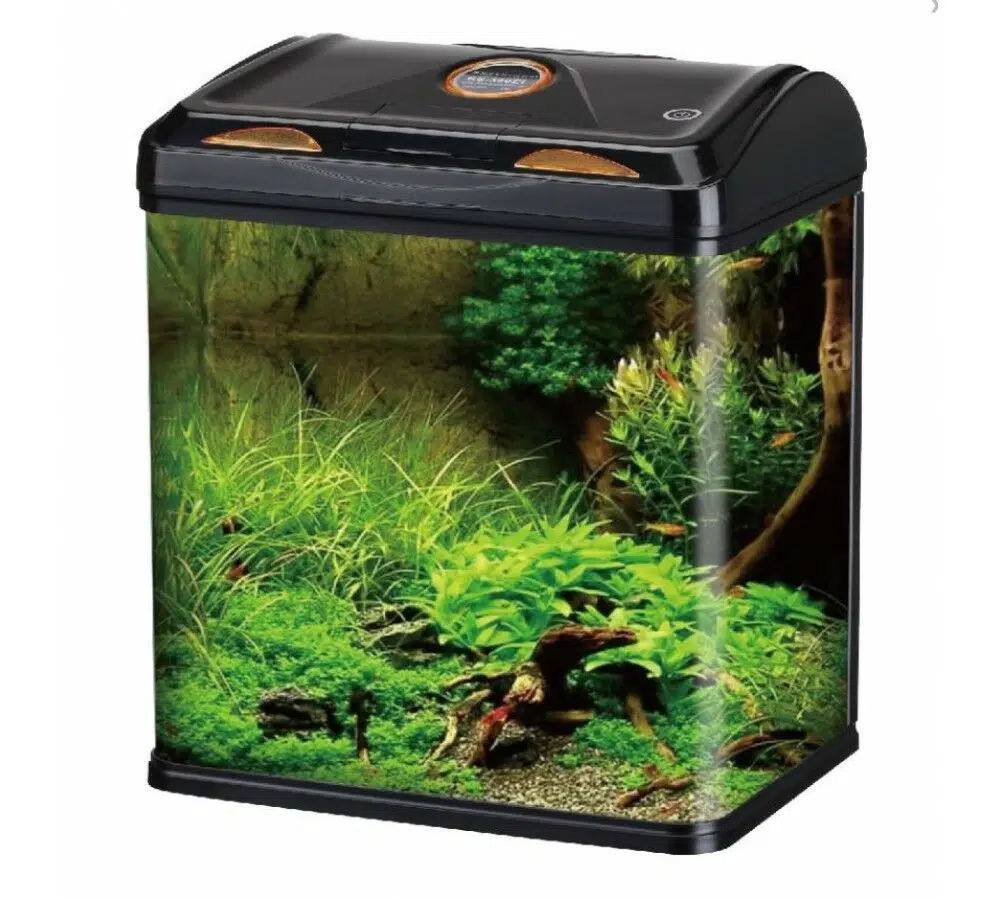 Rs Bombeli Akvaryum RS-300A 29*20*34