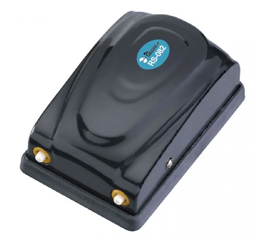 RS Çift Çıkışlı Hava Motoru Rs082 5W