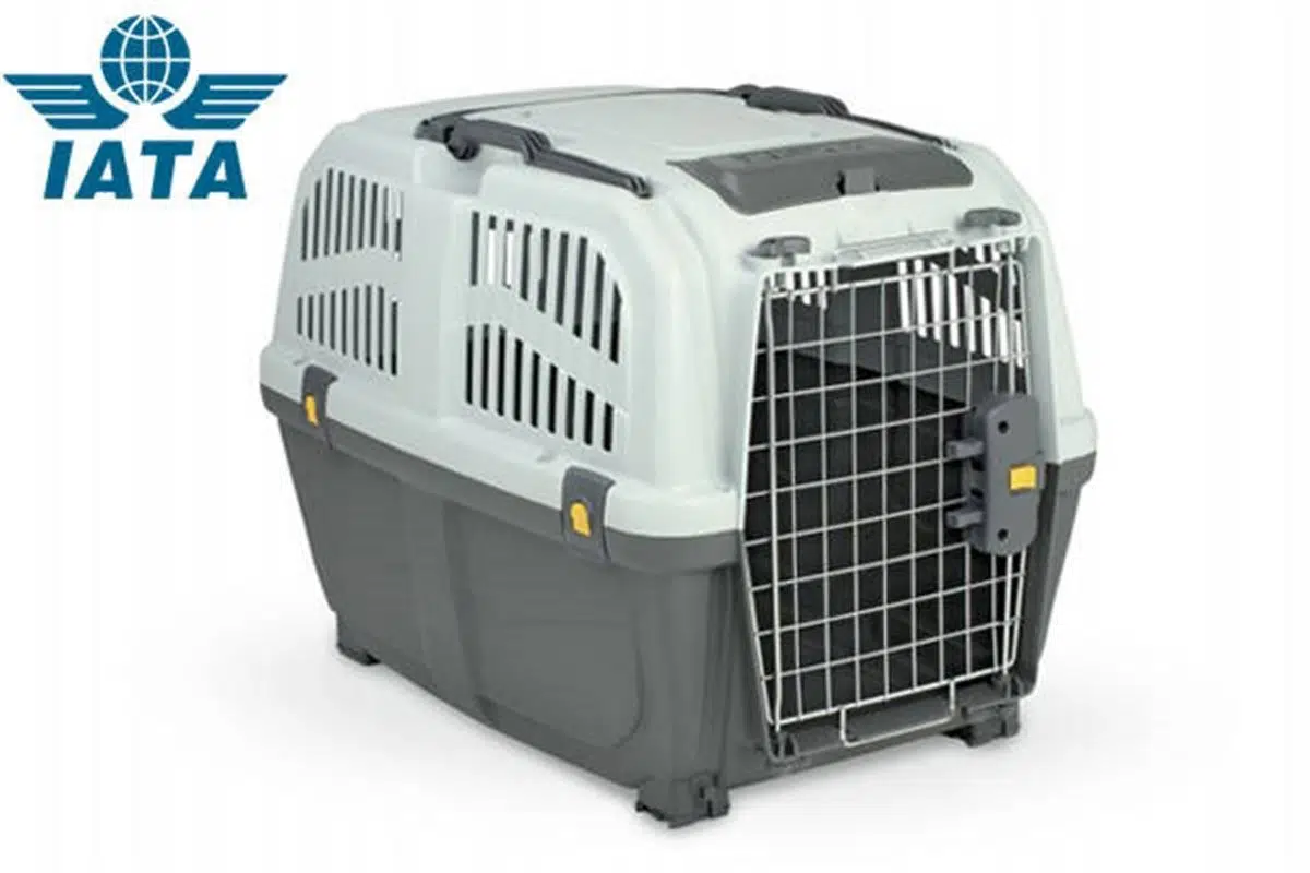 Skudo Taşıma Kabı No:4 68*48*51Cm Tekerleksiz