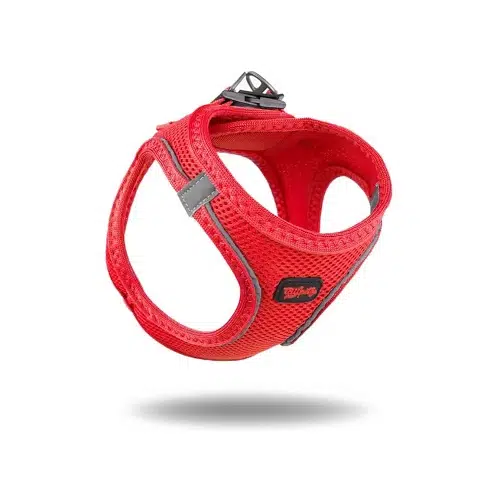 Tailpetz Airmesh Harness Garnet Kırmızı Köpek Göğüs Tasması L