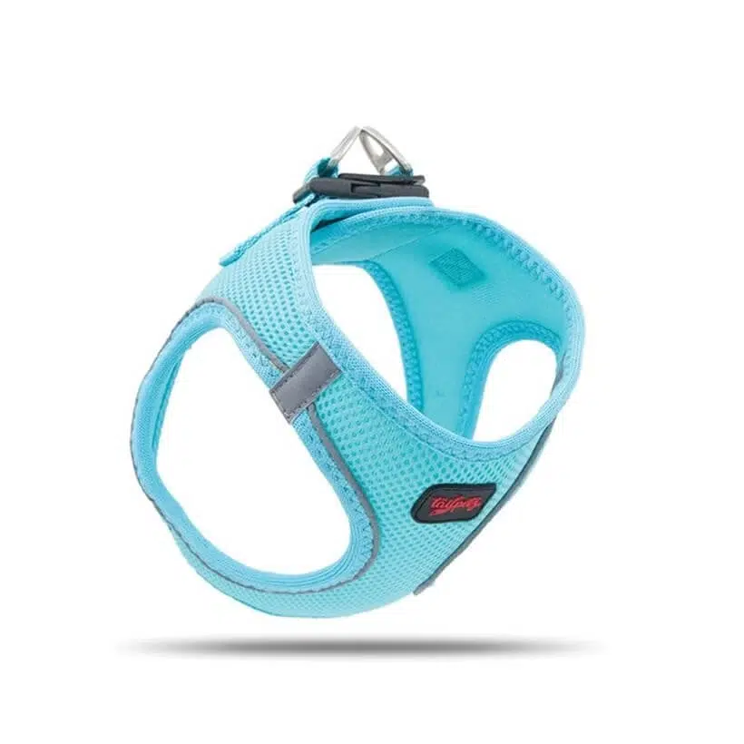 Tailpetz Air Mesh Harness Göğüs Tasması Ocean M