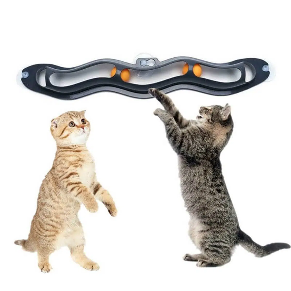 Welfare cama yapışan toplu kedi oyuncağı